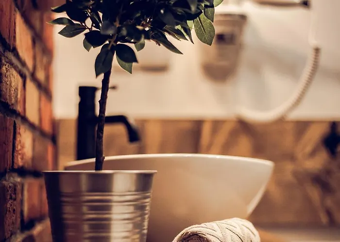 Nad Potokiem Czarny Dunajec