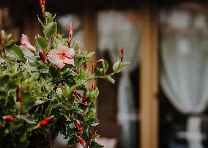 Homestay Nad Potokiem